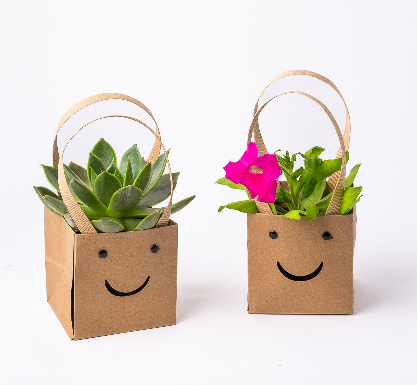 Smiley Plants