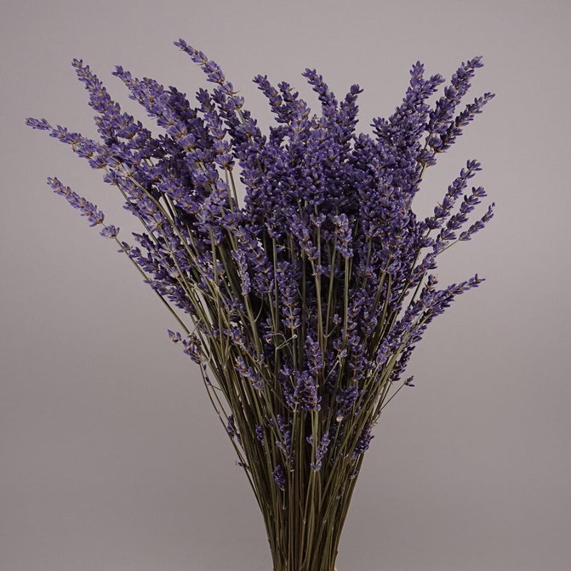 Dried lavender Collection